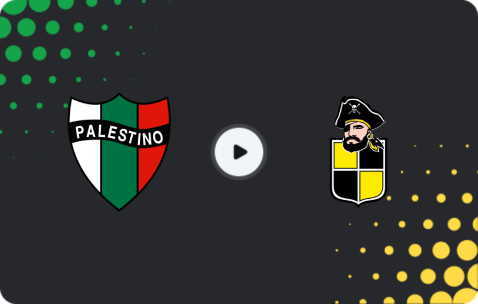 Where to watch Palestino — Coquimbo Unido, Primera División, 08.11.2025