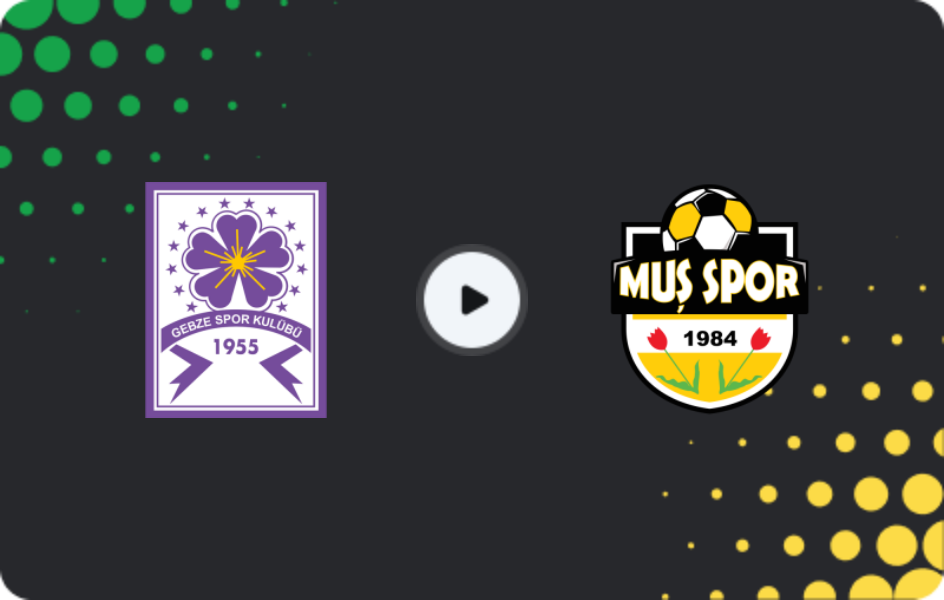Where to watch Güzide Gebze Spor — Muş Menderesspor, 2. Lig, 07.12.2025