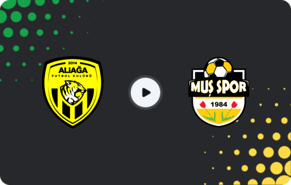 Where to watch Aliağa — Muş Menderesspor, 2. Lig, 15.02.2026