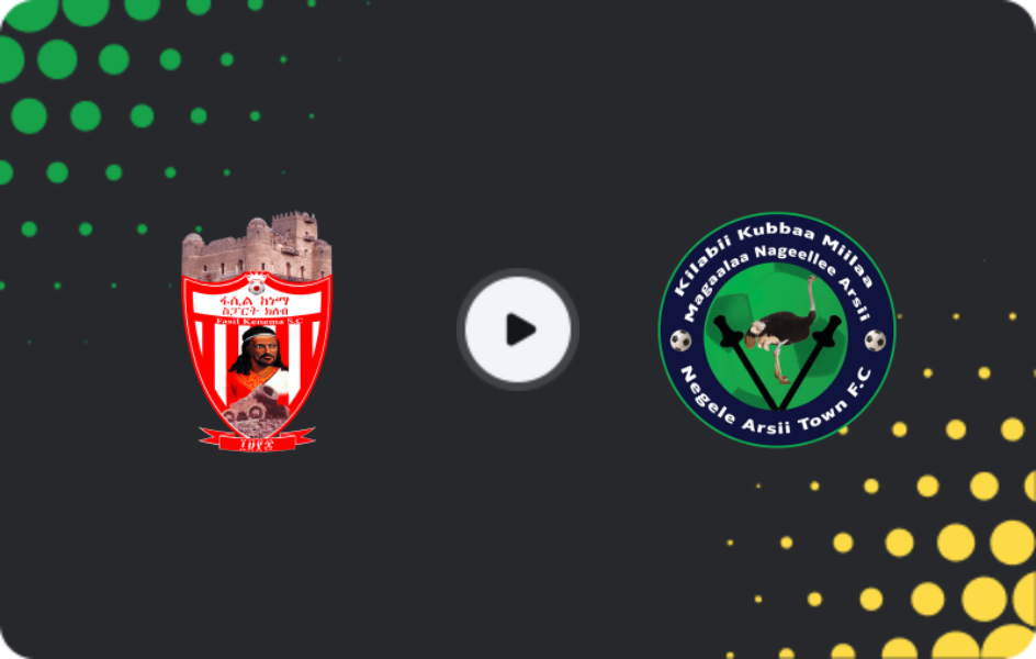 Where to watch Fasil Kenema — Negelle Arsi, Premier League, 21.12.2025