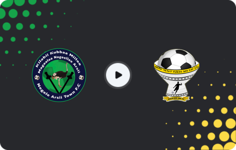Where to watch Negelle Arsi — Welwalo Adigrat, Premier League, 24.12.2025
