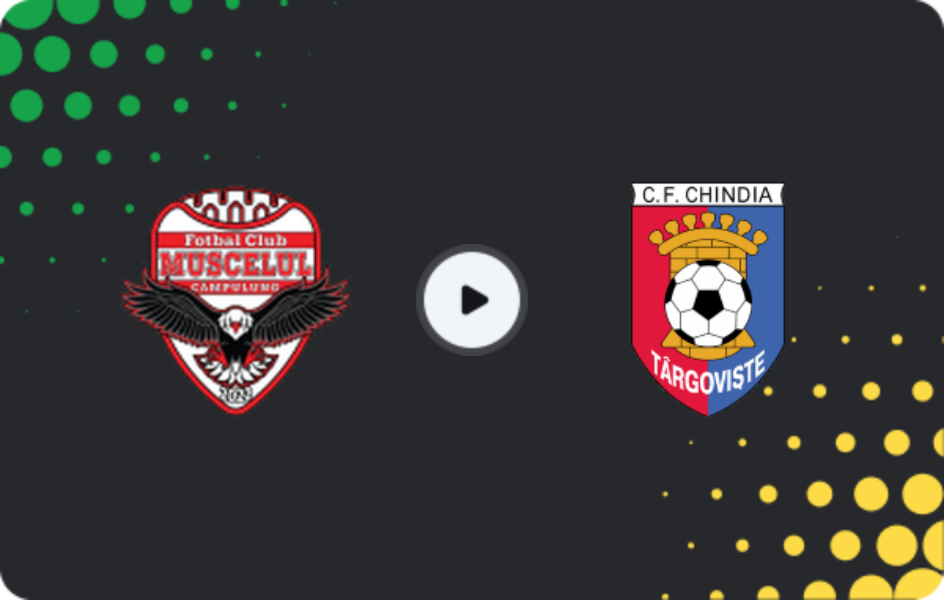 Where to watch Muscelul Câmpulung Elite — Chindia Targoviste, Friendlies Clubs, 24.01.2026