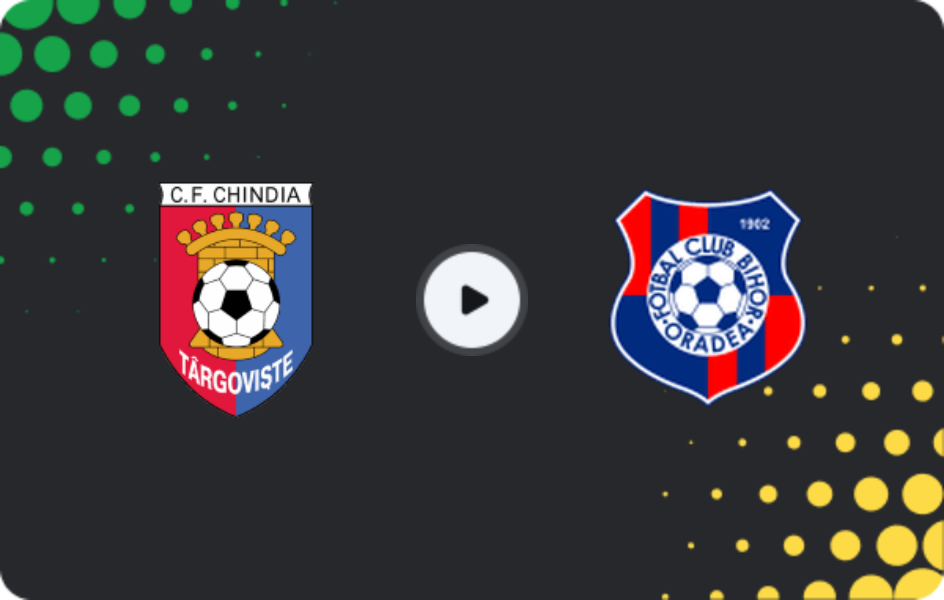 Where to watch Chindia Targoviste — Bihor Oradea, Liga 2, 28.02.2026