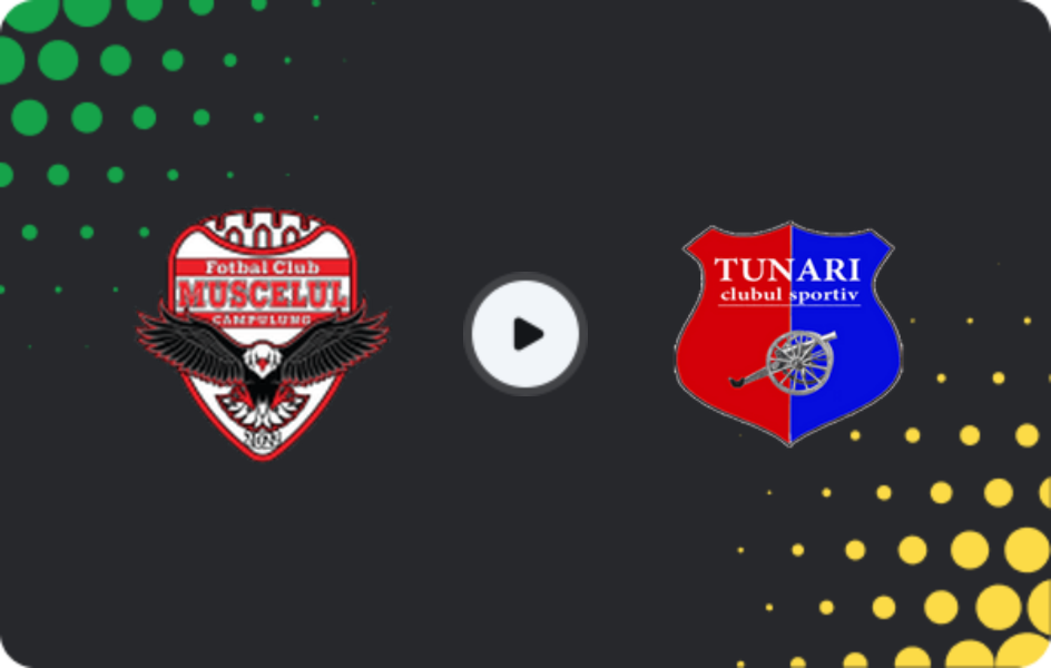 Where to watch Muscelul Câmpulung Elite — Tunari, Liga 2, 14.03.2026