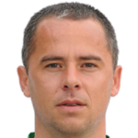 Никола Шафрич