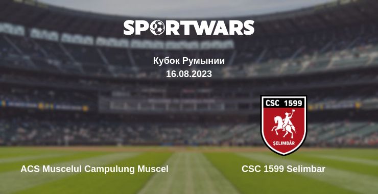 Где смотреть матч онлайн бесплатно ACS Muscelul Campulung Muscel - CSC 1599 Selimbar