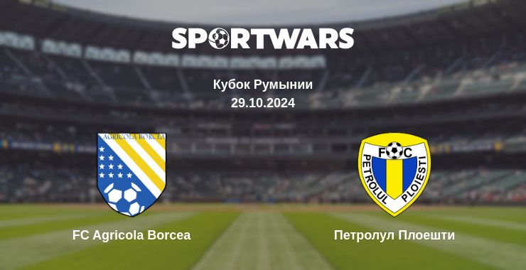 Где смотреть матч онлайн бесплатно FC Agricola Borcea - Петролул Плоешти