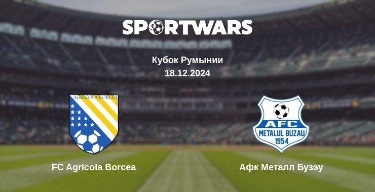 Где смотреть матч онлайн бесплатно FC Agricola Borcea - Афк Металл Бузэу