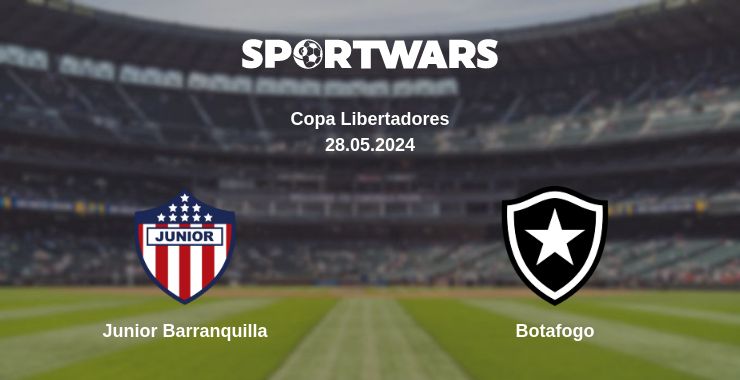 Where to watch the match Junior Barranquilla - Botafogo