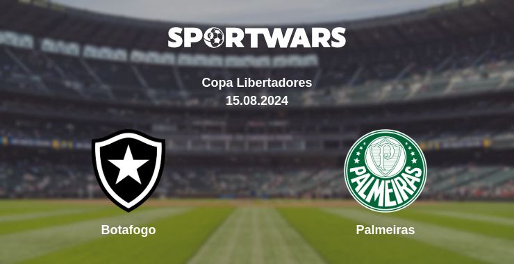 Where to watch the match Botafogo - Palmeiras