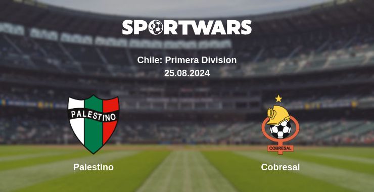 Where to watch the match Palestino - Cobresal