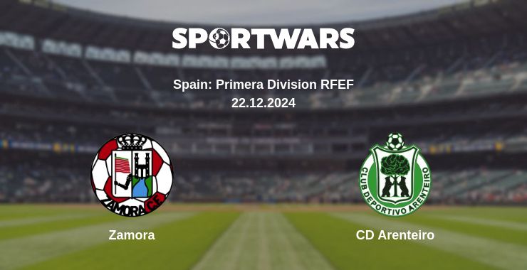 Where to watch the match Zamora - CD Arenteiro