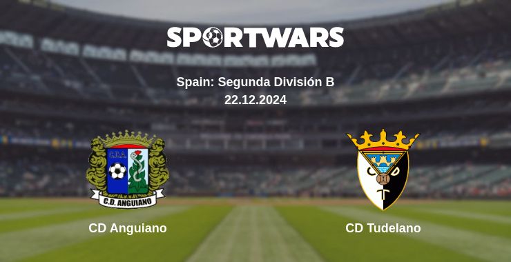 Where to watch the match CD Anguiano - CD Tudelano