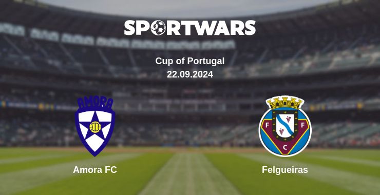 Where to watch the match Amora FC - Felgueiras