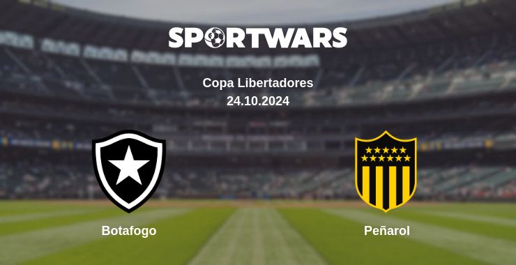 Where to watch the match Botafogo - Peñarol