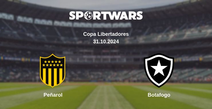 Where to watch the match Peñarol - Botafogo