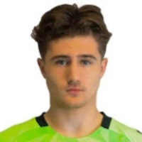 Н. Сёммергорд