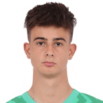 Лоренцо Торриани  