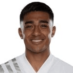 Жюль Араухо