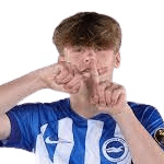 Гарри Хауэлл