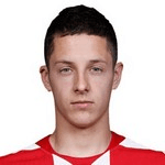 Домагоє Брадарич