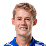 М. Хюллегор  