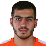 Н. Агасарян