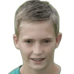 Д. ван дер Вёрфф  