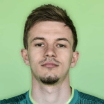 Н. Бошанчич  