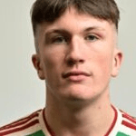 Д. Фицпатрик  