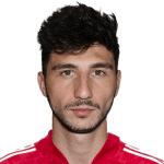 Д. Цаллагов  