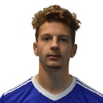 Ф. Александер