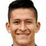 Р. Фернандес  