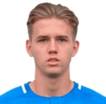 Л. Хольткамп  