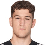 А. Павлешич  