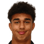 Д. Вавассори  