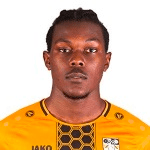 Е. Мейсон-Кларк  