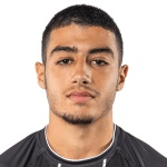 Анас Зарури