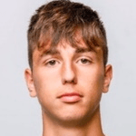 Д. Велимирович