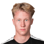 Е. Петтерсен  