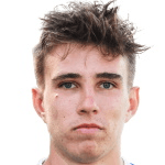 Ж. Михельбринк