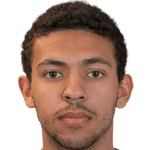 Д. Скреттеберг  