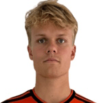 Г. Арндаль-Лауритцен  