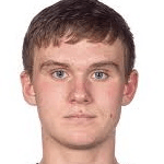 Н. Бертилссон