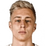 В. Каминьский  