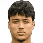 Й. Карадемир