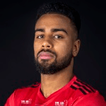 Н. Сонко-Сундберг