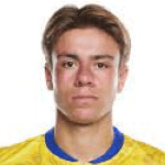 С. ван Дессель  