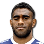 Г. Гопе-Фенепеж  