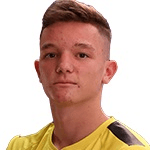 М. Перкович  